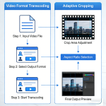 Video Format Transcoding and Adaptive Cropping - Image 2