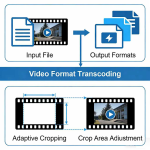 Video Format Transcoding and Adaptive Cropping